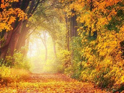 Release Trauma Signals - Grief