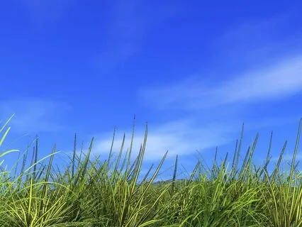 Release Trauma Signals - Humiliation