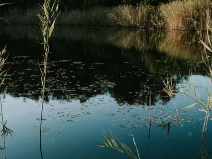 Release Trauma Signals - Lack Of Commitment