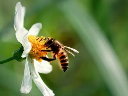 Release Trauma Signals - Lack Of Control