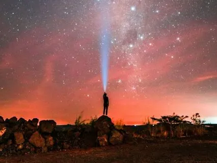 Release Trauma Signals - Love Unreceived