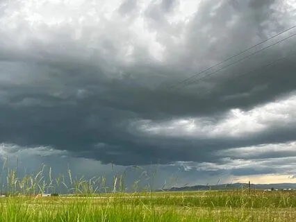 Release Trauma Signals - Overwhelm