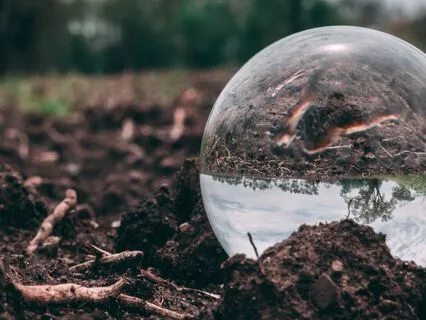 Release Trauma Signals - Terror