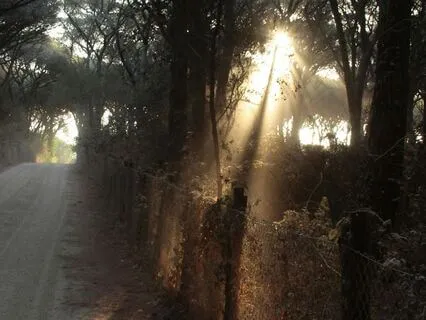 Release Trauma Signals - Vulnerability