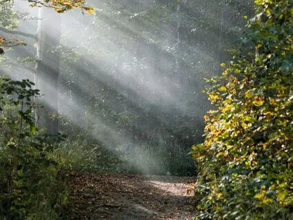 Release Trauma Signals - Worry