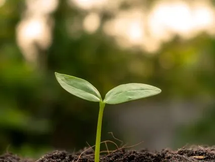 Release What Is Not Yours Meditation