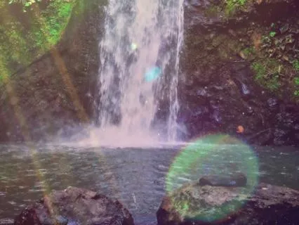 Release What You Inherited | Womb & Ancestral Healing