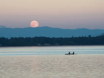Release With The Moon