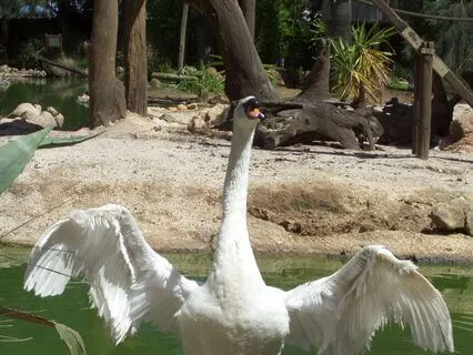 Release Workplace Negativity | No Music