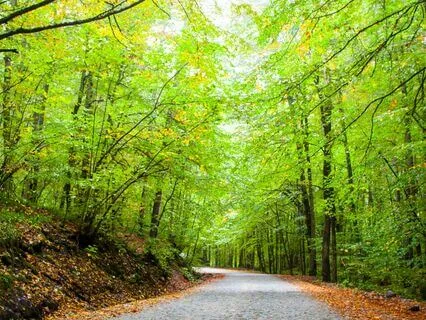 Release Worries And Regrets