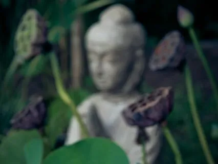 Release Worry And Fear