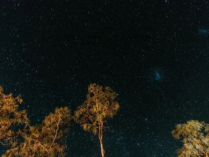 Release Worry & Sleep Well Tonight