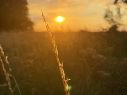 Release Worry Before Sleep