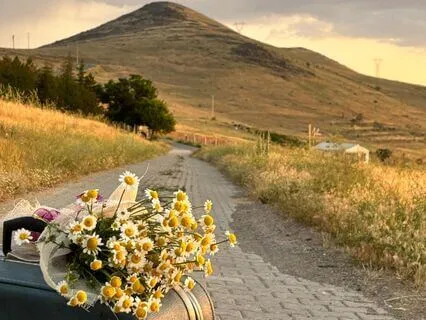 Release Worry & Regret: Drop The Suitcases