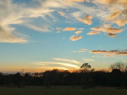 Release Worry | Spleen Healing Sound Meditation