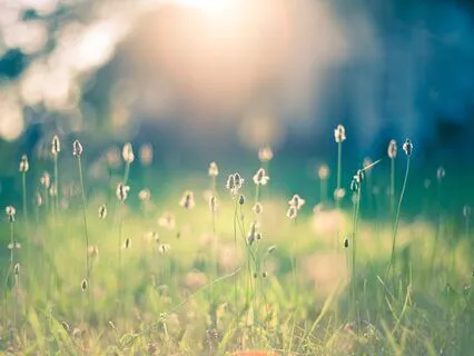 Release  - Yoga Nidra To Rest The Mental & Emotional Body