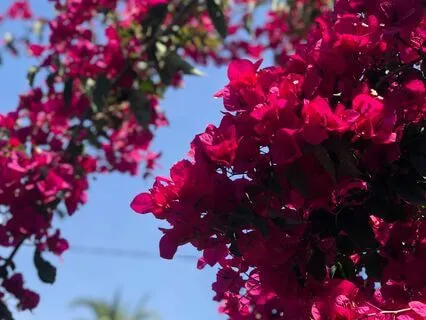 Release Your Anxiety In Just A Few Minutes