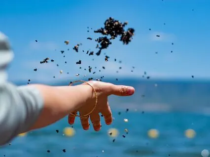 Release Your Anxiety Through Mindfulness Meditation