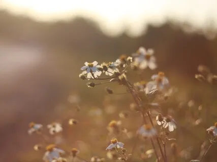 Release Your Blocks in Your Sacred Garden