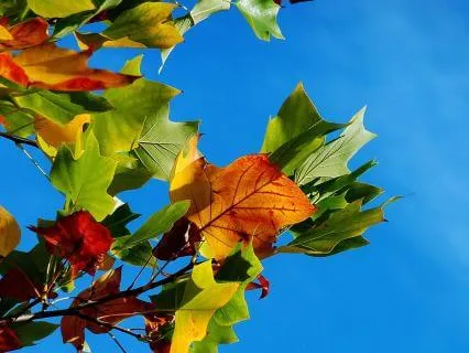 Release Your Burdens: Christian Meditation