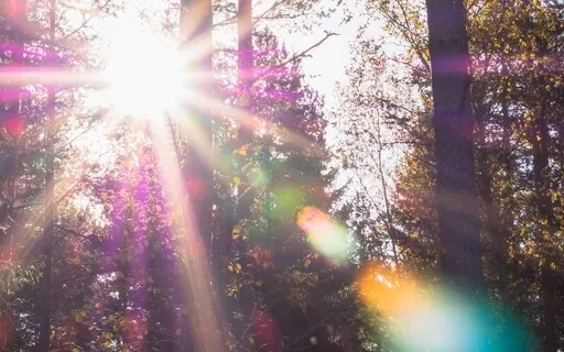 Release Your Doubt - Step Into Your Light