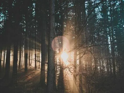 Release Your False Desires