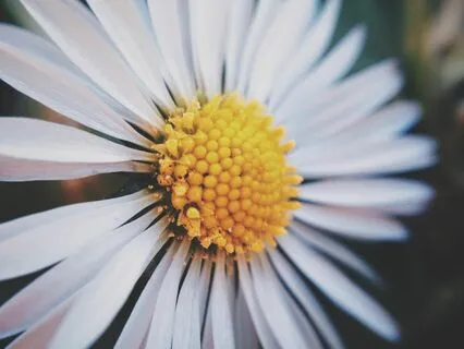 Release Your Fear of Shining Bright (For Entrepreneurs)