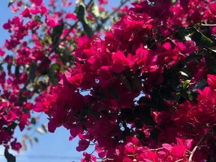 Release Your Stress With Chanting