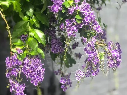 Release Your Trust Issues