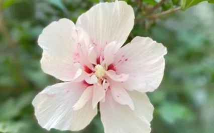 Release Yourself From Judgment