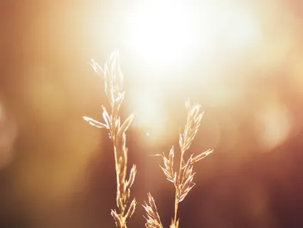 Releasing And Honoring Trapped Emotions