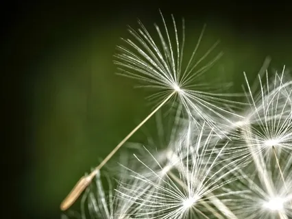 Releasing & Letting Go Power Nap