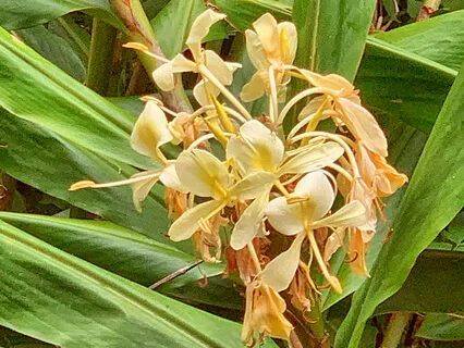 Releasing And Letting Go