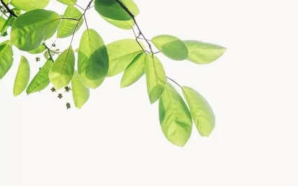 Releasing & Receiving – Healing Affirmations