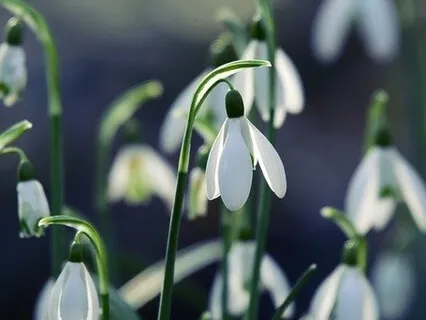 Releasing Anger And Blame With Mindful Tapping 