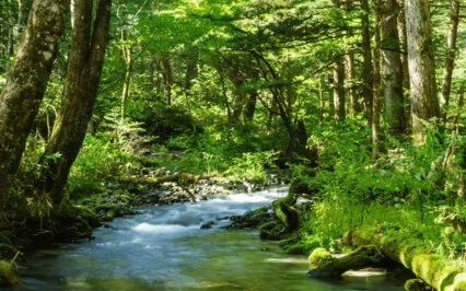 Releasing Anger & Stress