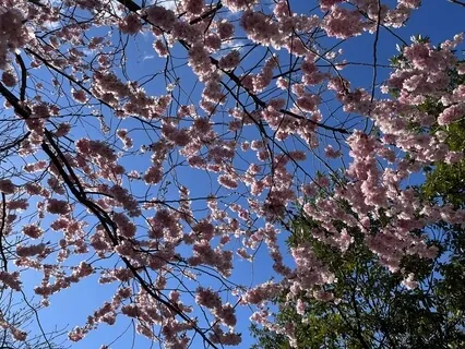 Releasing Anxiety & Achieving Peace Through Self Talk