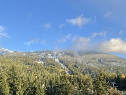 Releasing Anxiety: Finding Calm Within