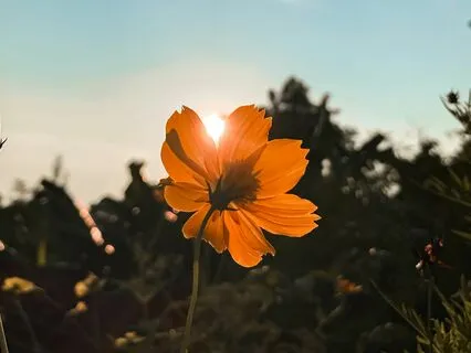 Releasing Anxiety & Stress Meditation - No Music