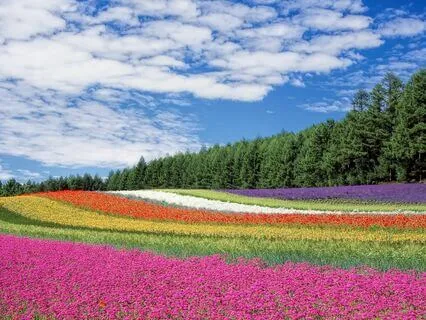 Releasing Anxiety With Color And Sound