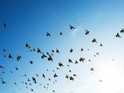 Releasing Anxiety, Worry & Self-Concern