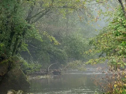 Releasing Anxious Tension