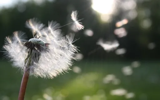 Releasing Attachment & Awakening Acceptance