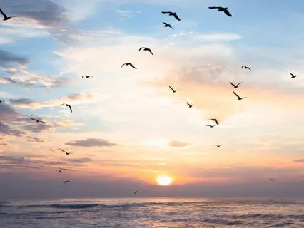 Releasing Attachments: A Journey To Inner Peace And Balance