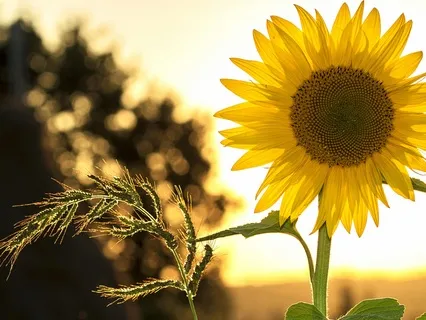 Releasing Control And Reconnecting With Inner Calm