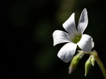 Releasing Current Fears With Intro