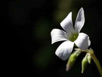 Releasing Current Fears