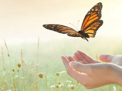 Releasing Daily Stress