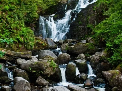 Releasing Disappointment