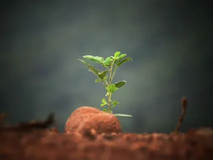 Working With Doubt In Times Of Change